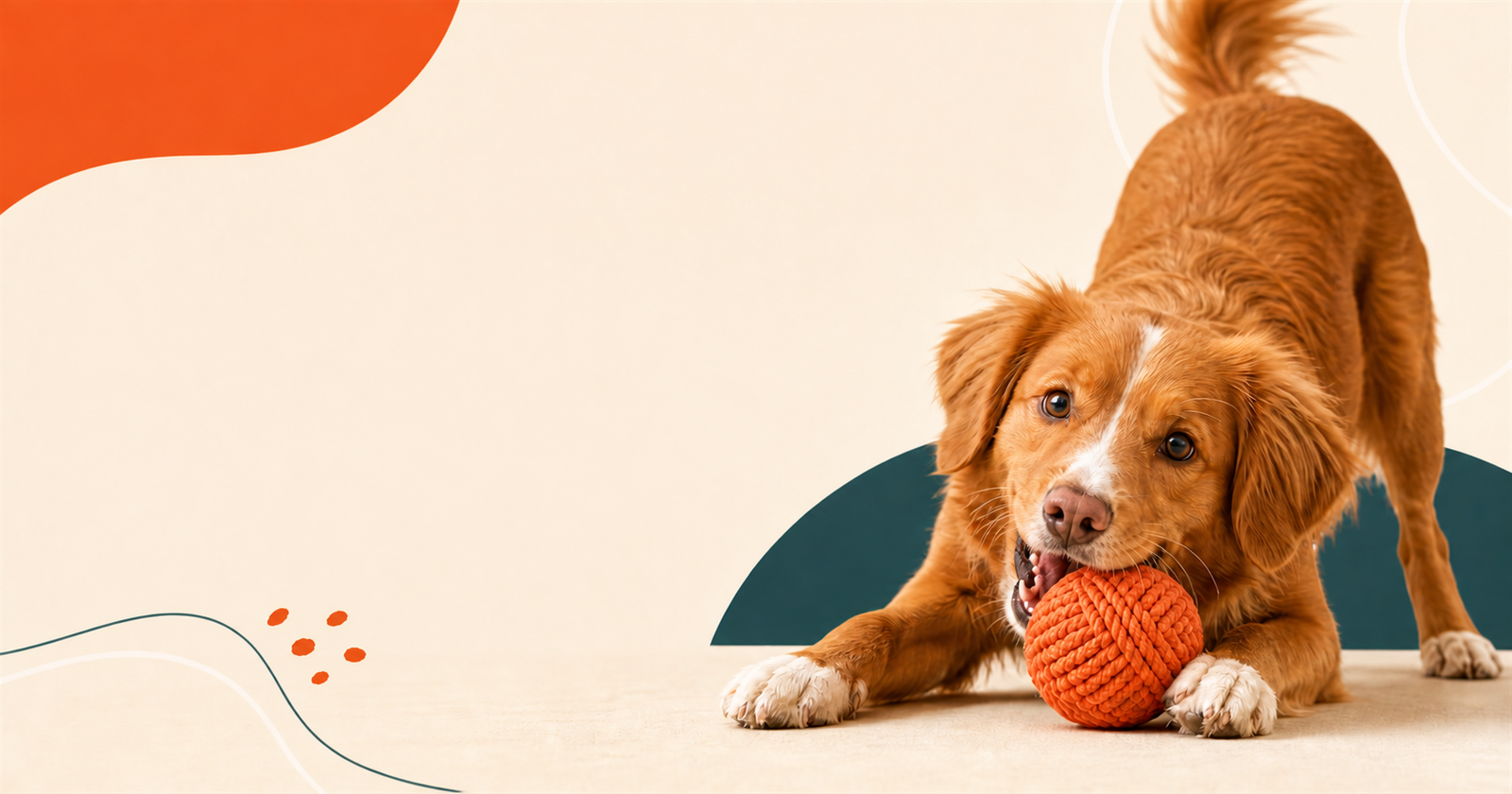 A happy dog playing with an orange rope ball