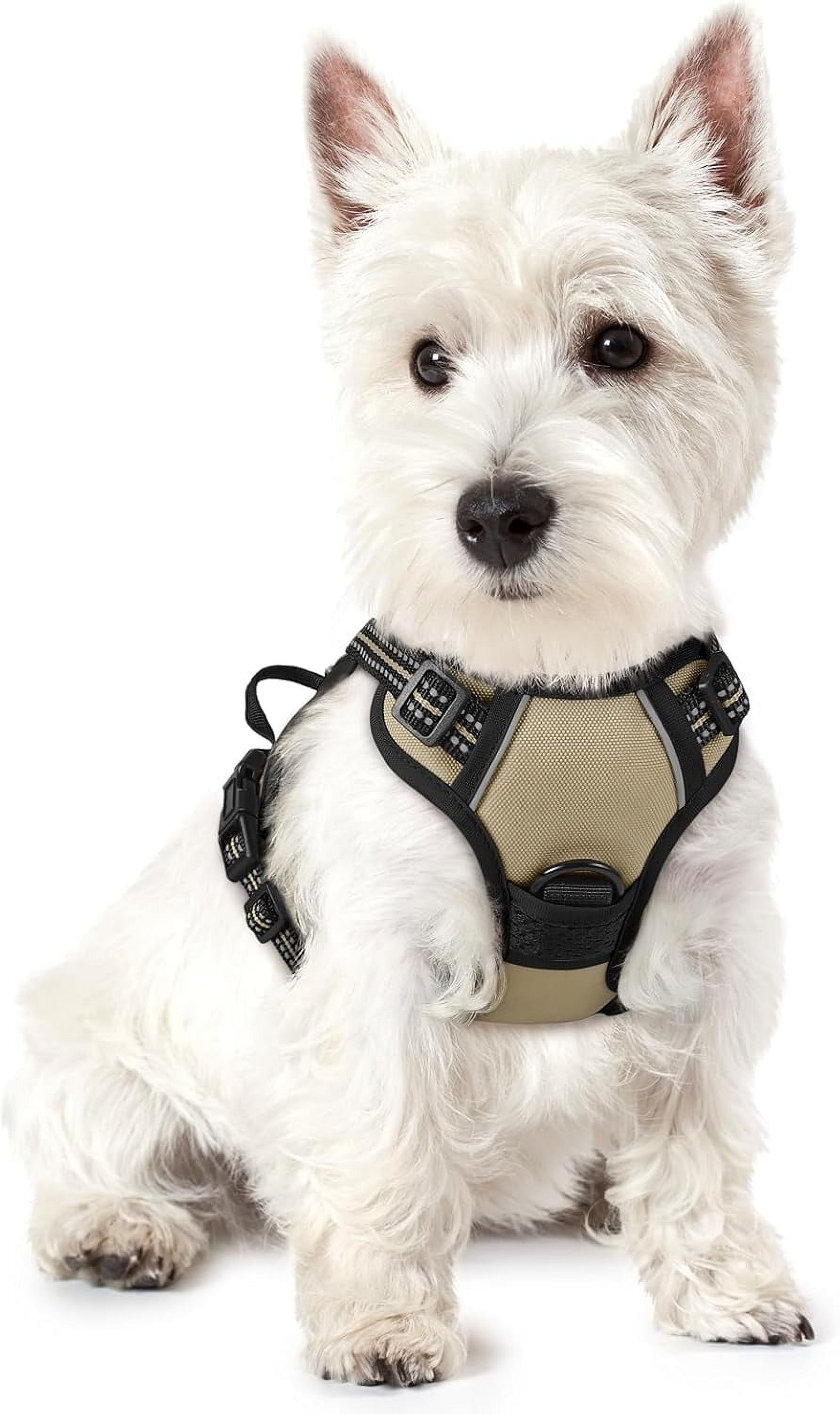 rabbitgoo No-Pull Dog Harness product image